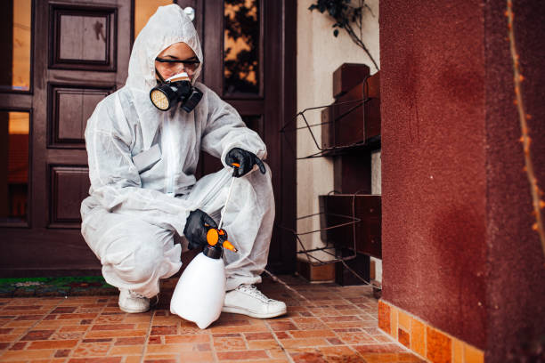 Reliable Bed Bug Control contractor in Harlingen, TX by Nex Pest Control